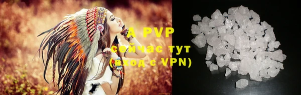 apvp Богданович