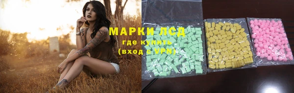 apvp Богданович