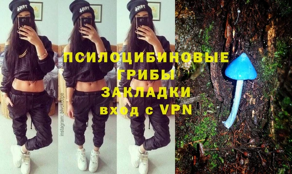 apvp Богданович