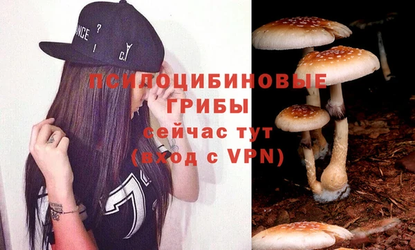 кокаин премиум Богородицк