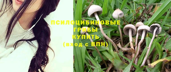 кокаин премиум Богородицк