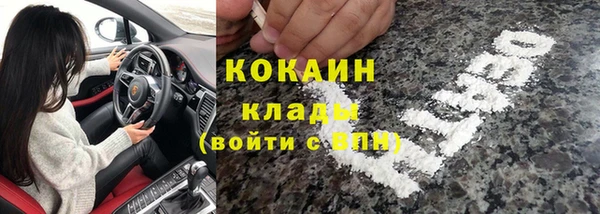 apvp Богданович