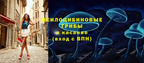 apvp Богданович